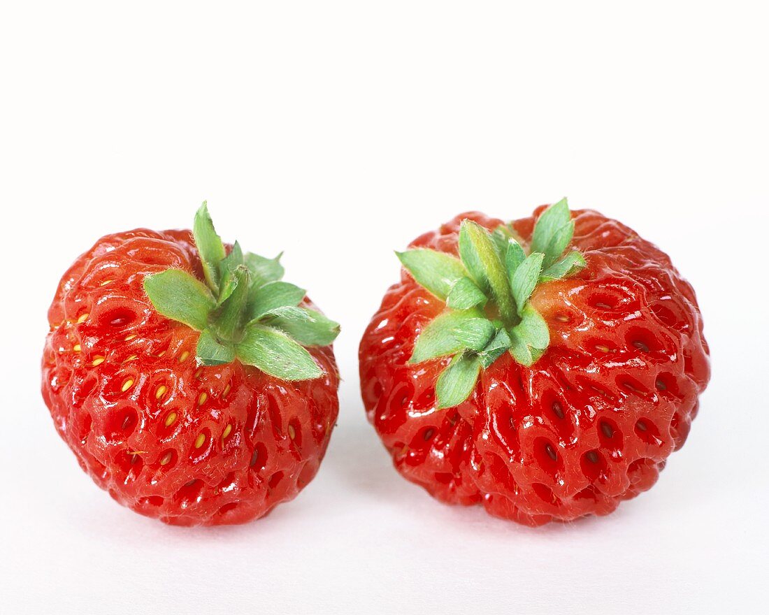 Two 'Framberry' strawberries