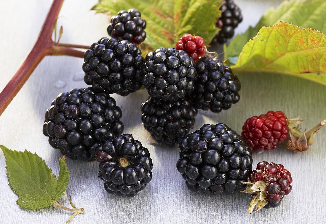 Brombeeren mit Blättern