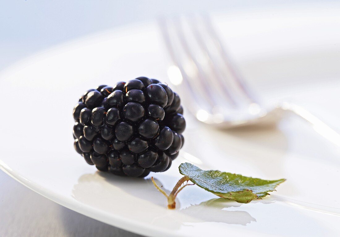 A blackberry and a blackberry leaf on a plate