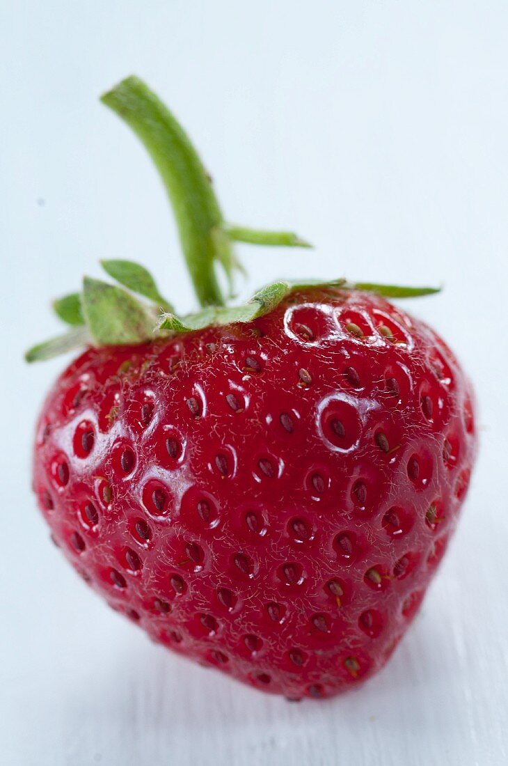 Eine Erdbeere mit Stiel