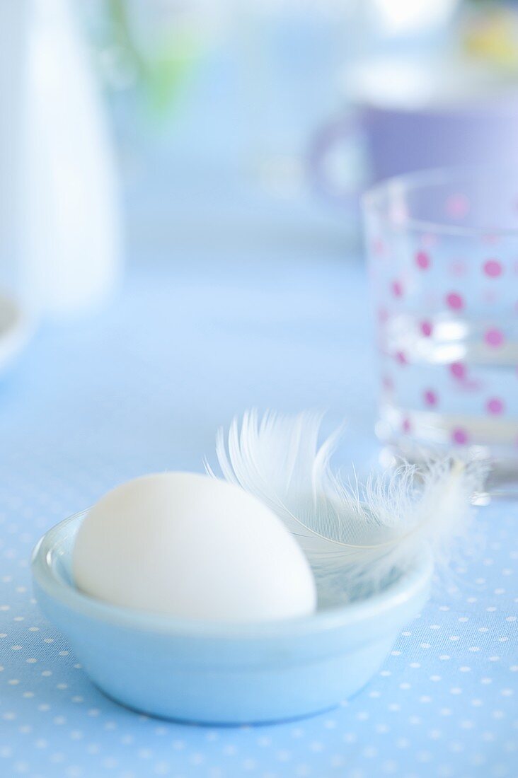 A white egg with a feather in a light blue bowl