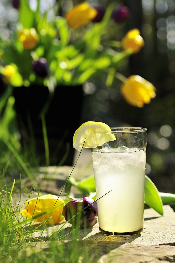 A glass of lemon and ginger lemonade in a garden