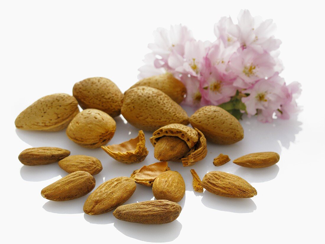 Almonds with and without shells and almond blossoms