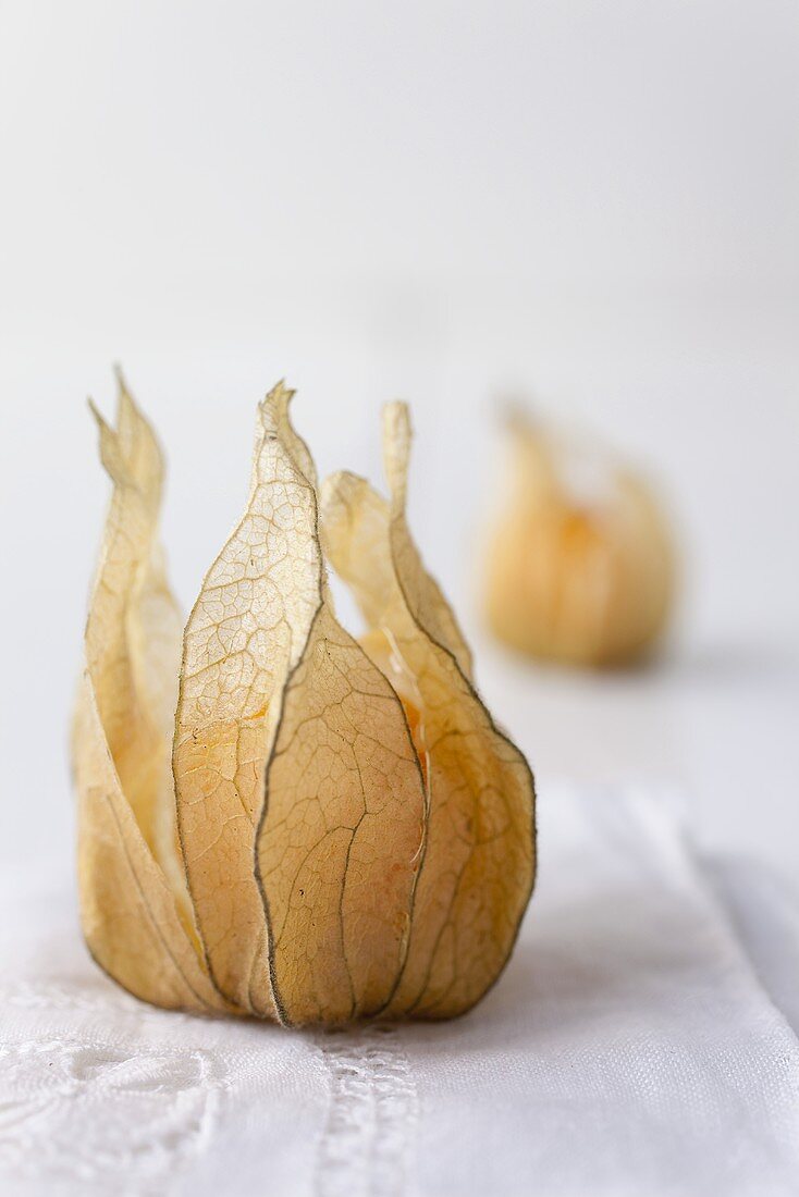 Closed physalis