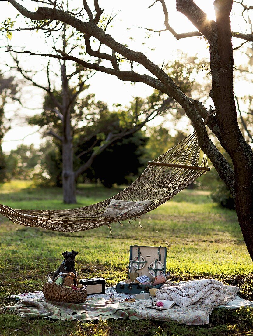 A picnic blanket and a hammock