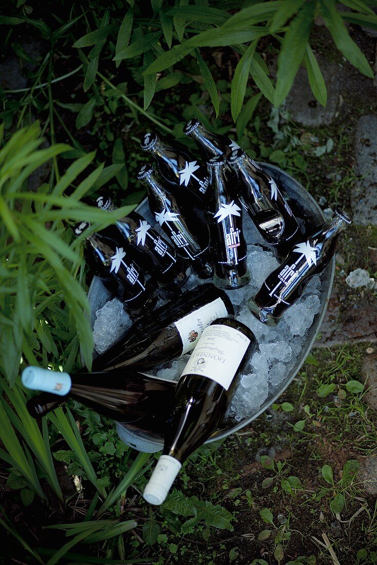 Ice bucket with cola and wine bottles in a garden