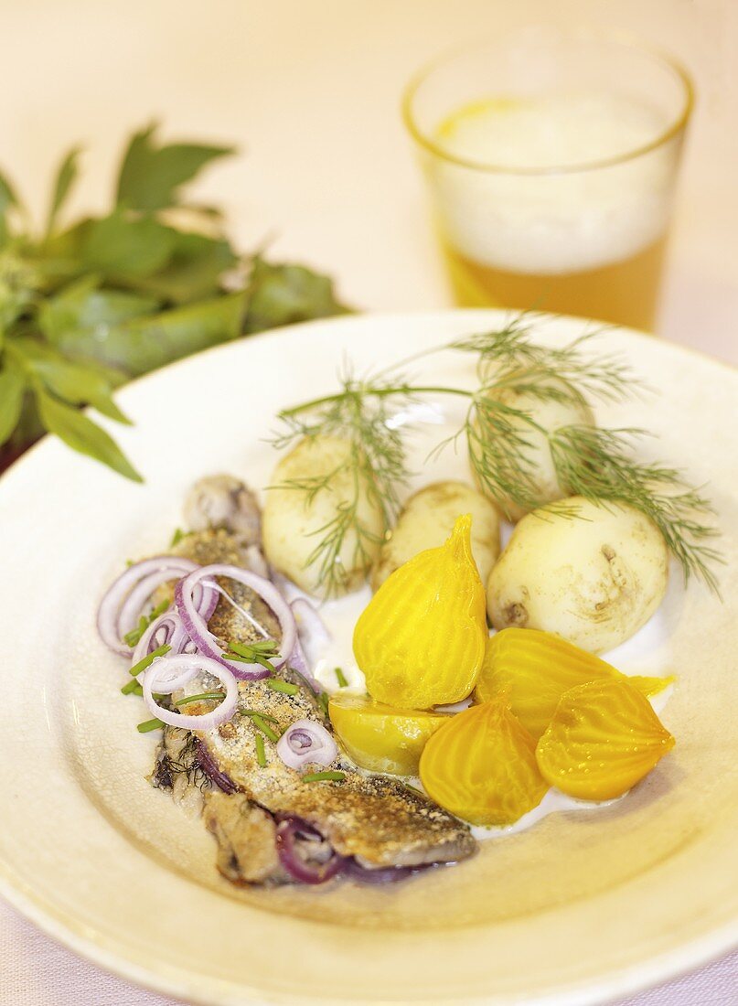 Cooked herring and mackerel with yellow beets, potatoes and dill