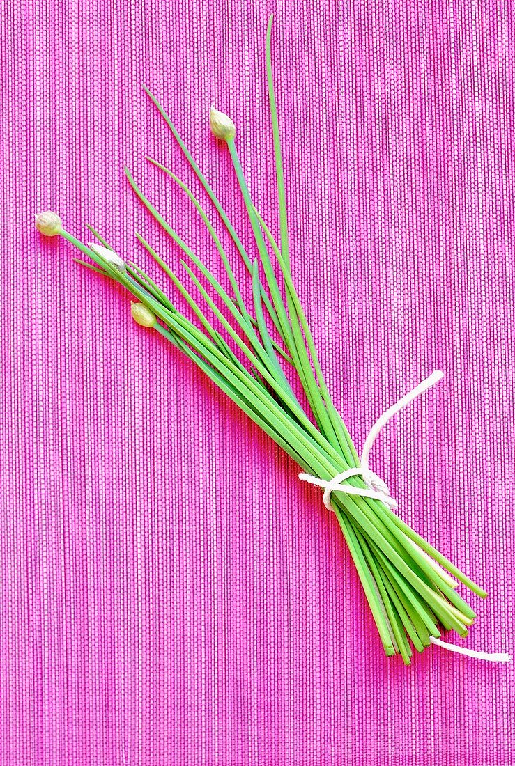 Fresh garlic chives on a pink background