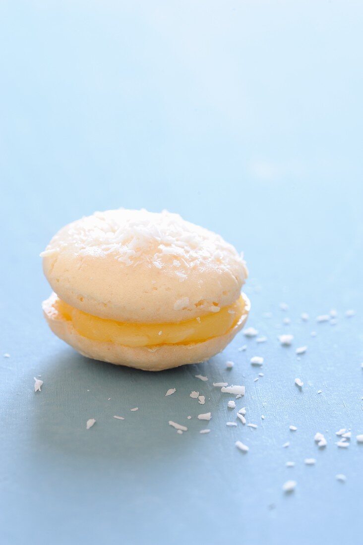 Macaroon with coconut
