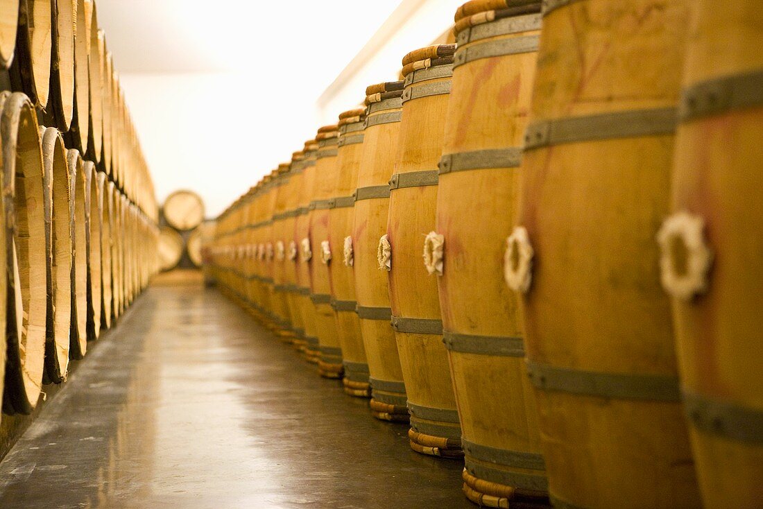 Wine aging in wooden barrels (Chateau Lynch-Bages Winery, France)