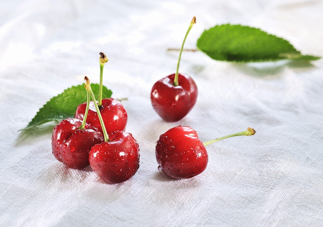 Cherries with drops of water and leaves
