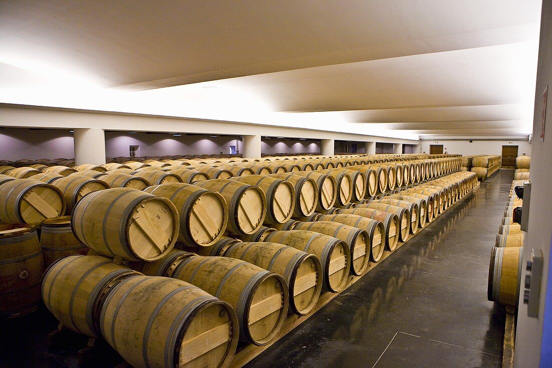 Wein lagert in Holzfässern (Weingut Château Lynch-Bages, Frankreich)
