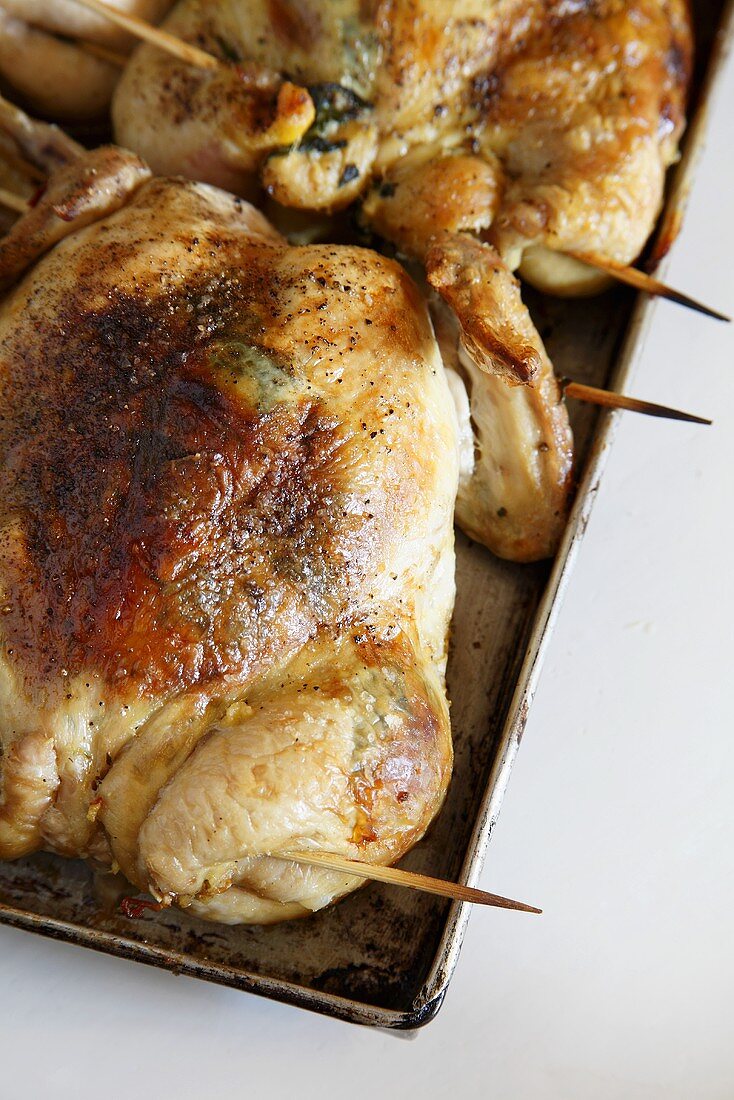Stuffed, roasted quail on a baking tray