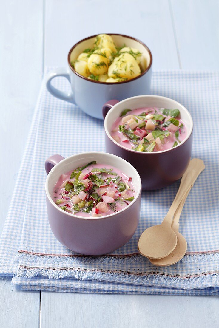 Cold red beet soup with radishes and herbs, boiled potatoes with dill