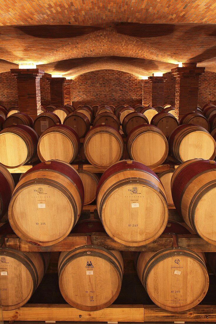 Wine barrels in a wine cellar La Motte, Franschhoek, Western Cape, SA