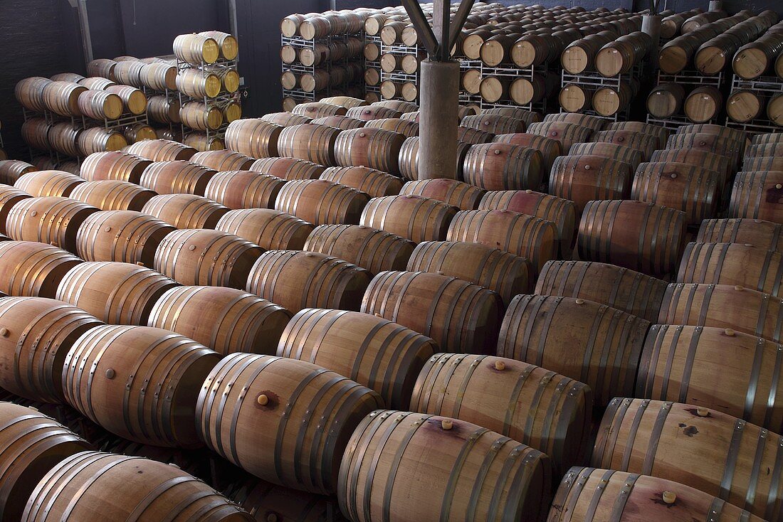 Wine barrels at the Nederburg Winery, Paarl, Western Cape, SA