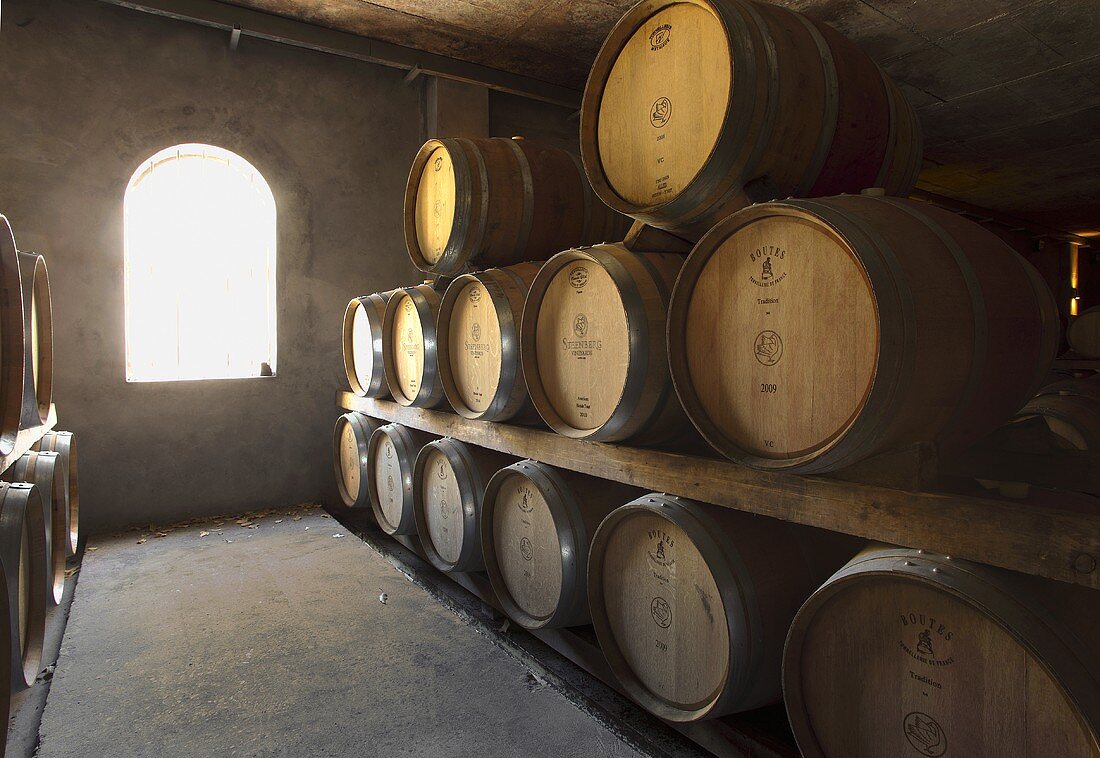 Wine barrels in the cellar (Steenburg, Constantia, Western Cape, SA)