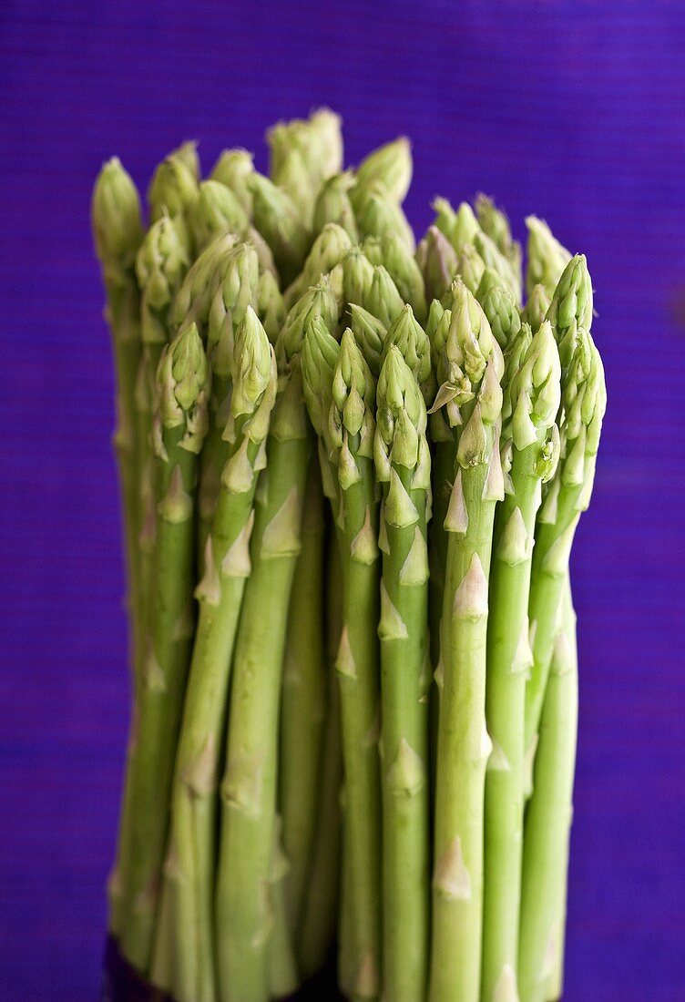 Grüner Spargel vor violettem Hintergrund