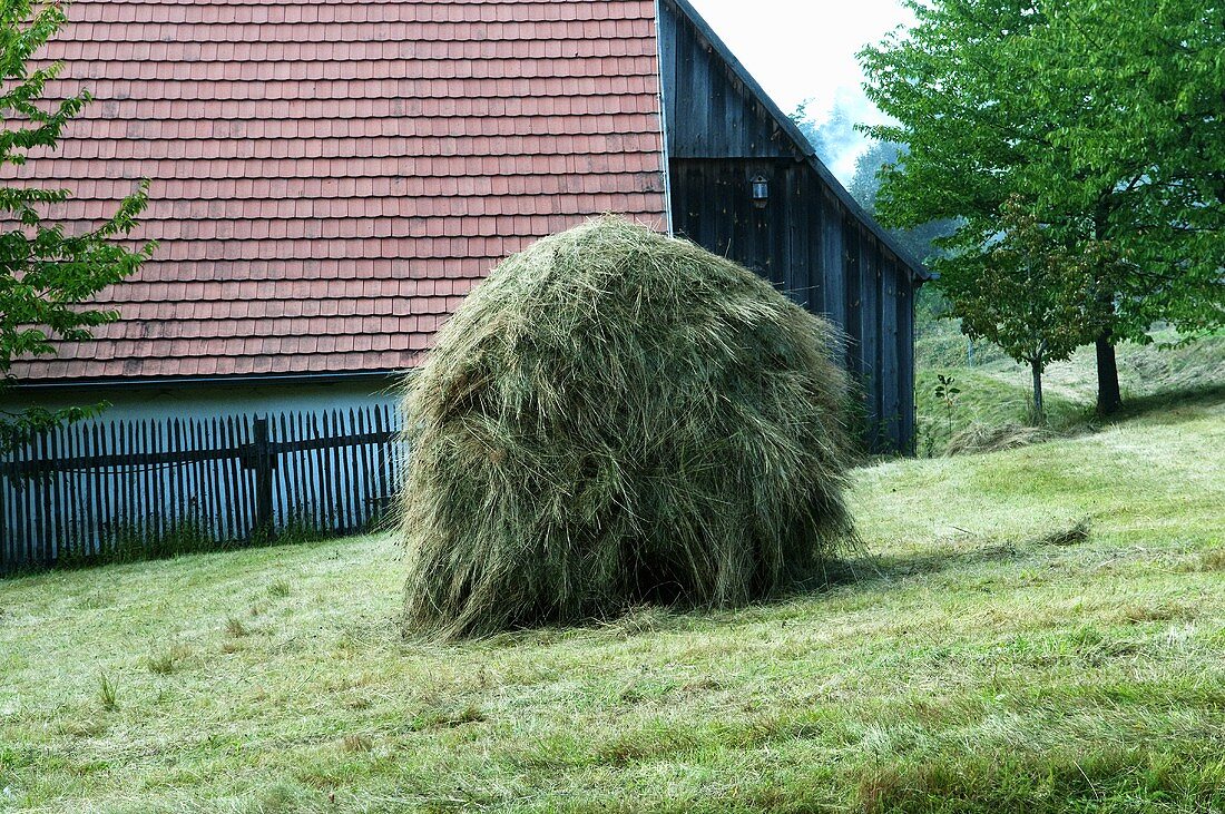 A haystack in a meadow