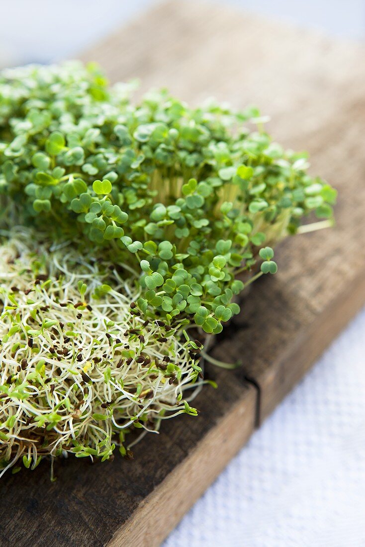 Alfalfa and rocket sprouts on a wooden board
