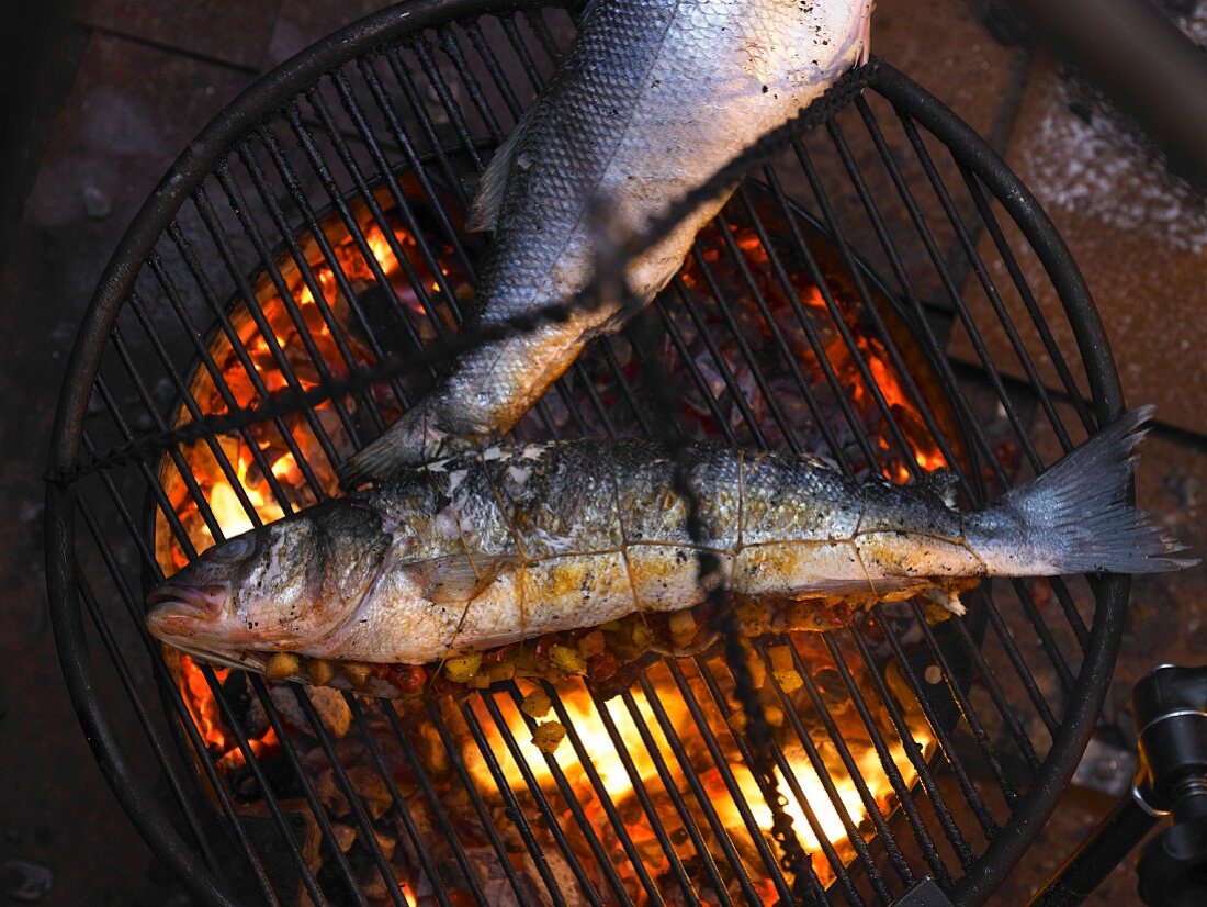 Bass on a grill over glowing coals