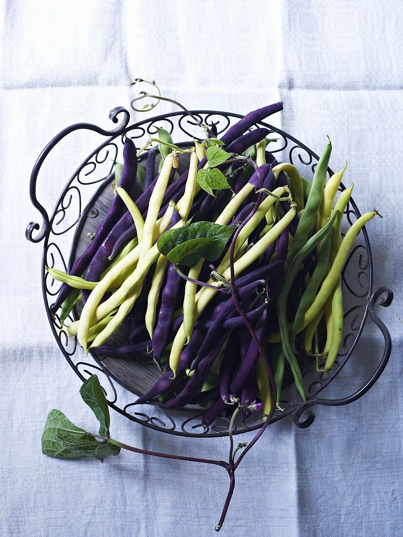 Green, yellow and purple bush beans in a wire basket