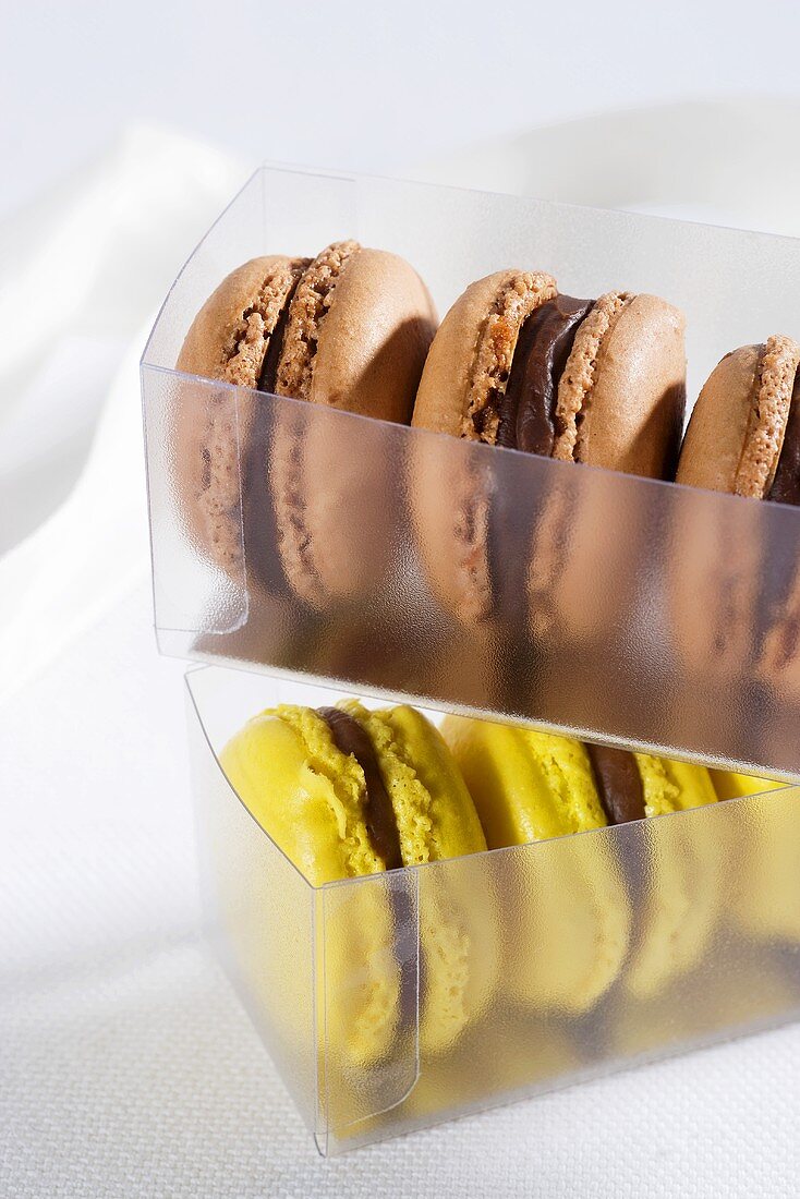 Schokoladen-Macarons und gelbe Macarons in Plastikbox