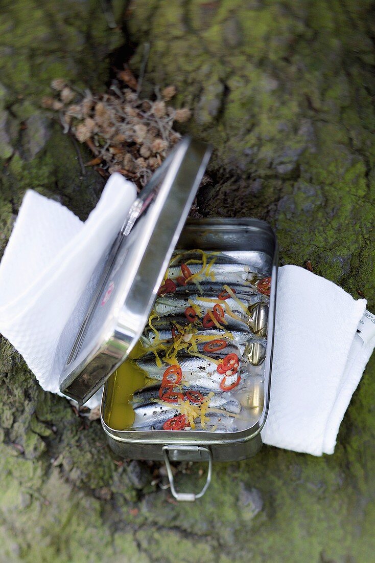 Marinated sardines for a picnic