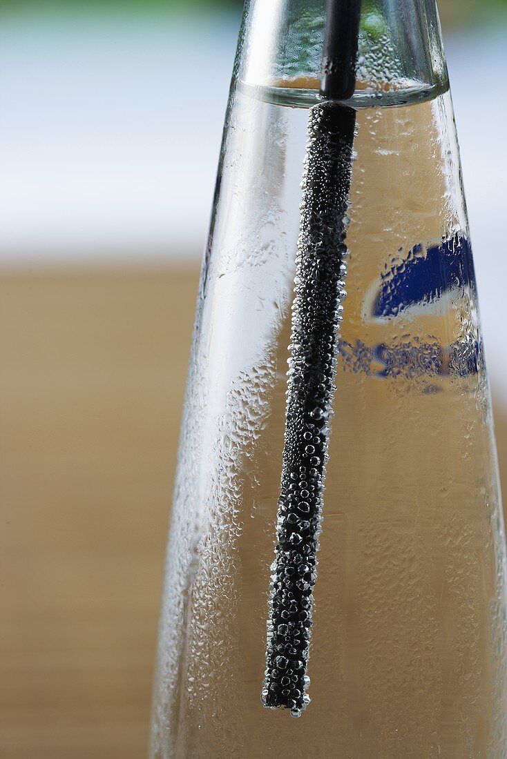 A straw in a bottle of water