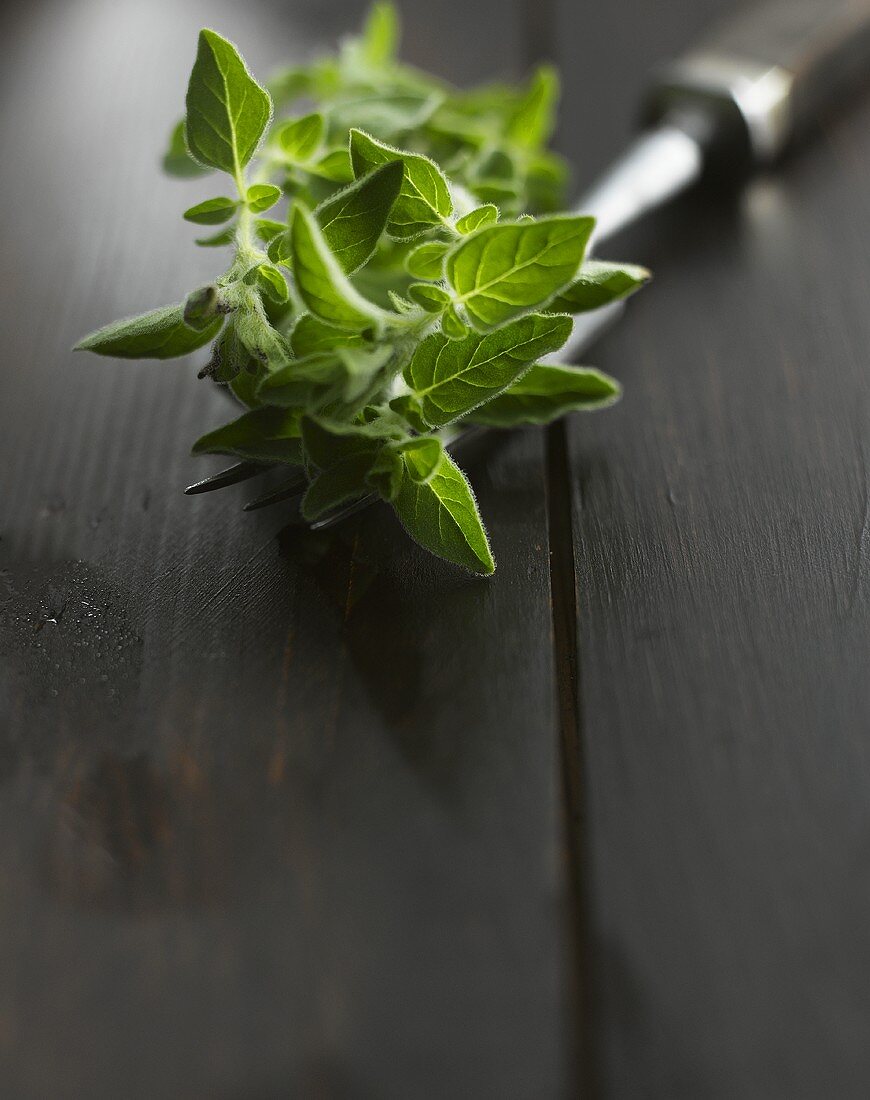 Fresh oregano on a fork