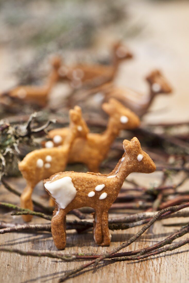 Deer-shaped butter biscuits