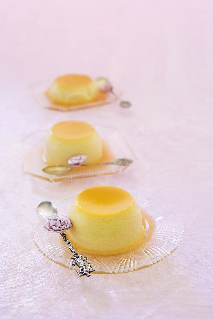 Vanille und Kokos Crème Caramel