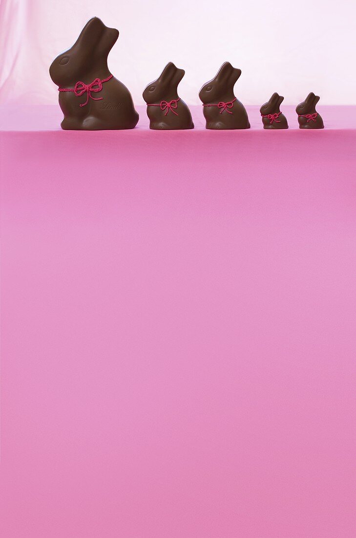 Chocolate Easter bunnies on a pink surface