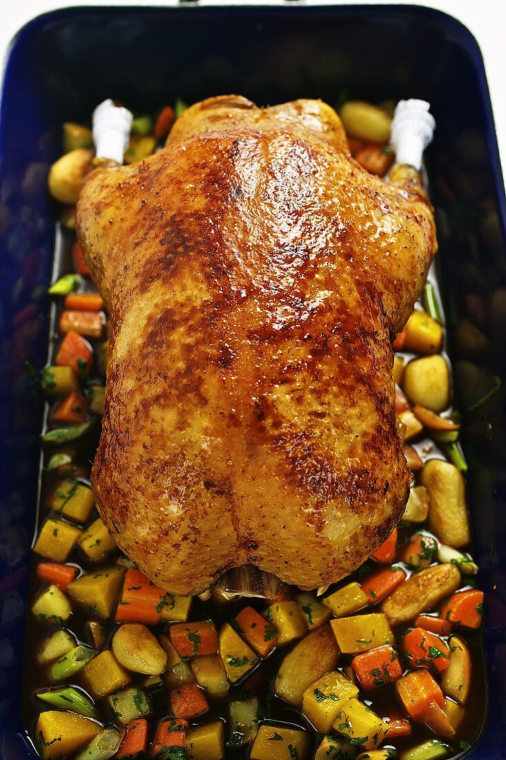 Roast duck with root vegetables in a roasting dish