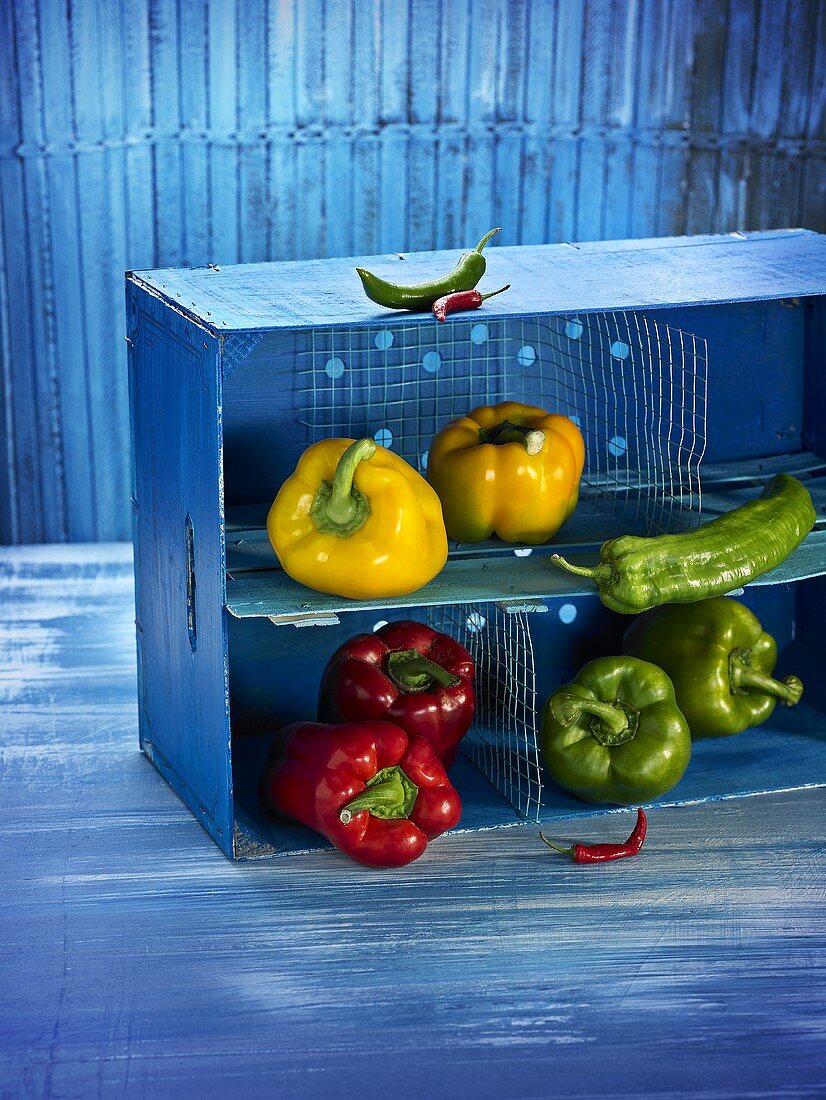 Peppers and chillis in a blue box