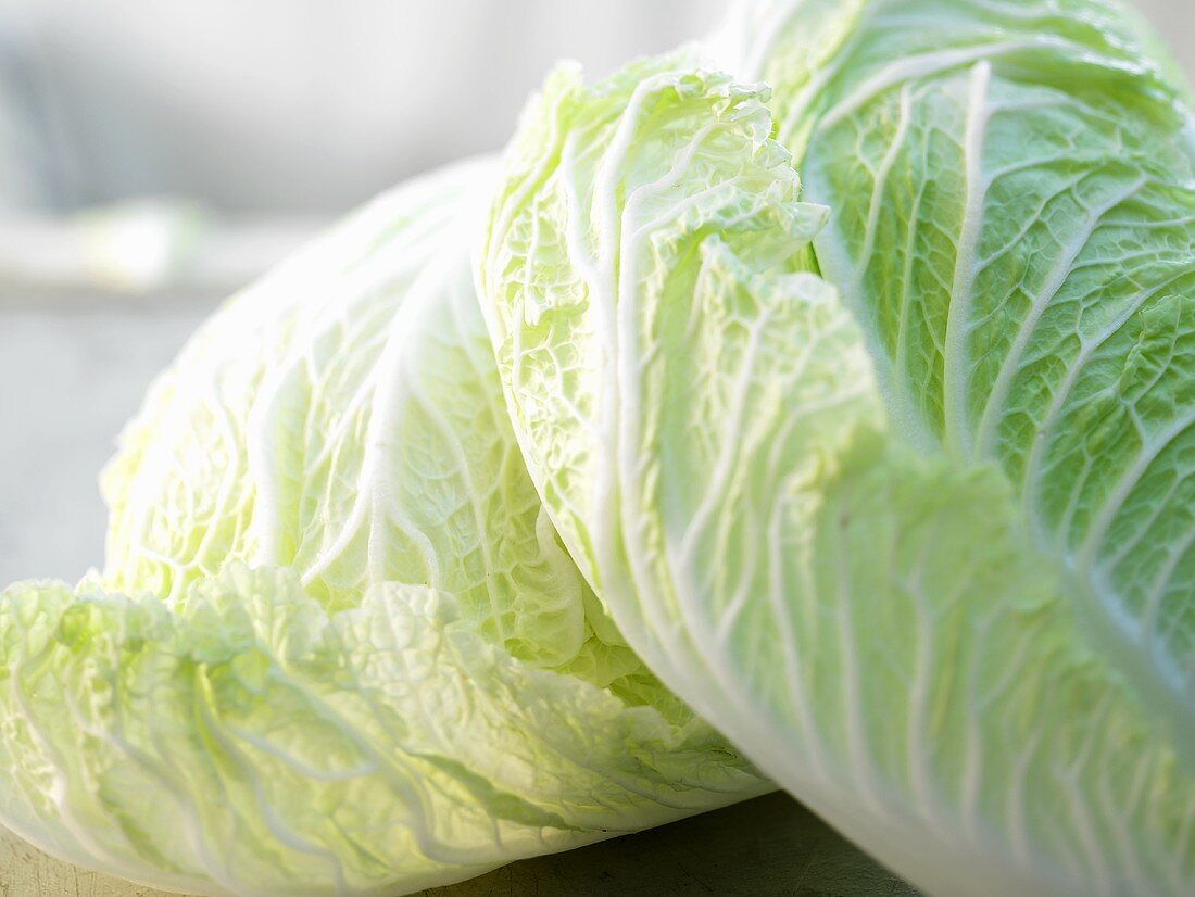 Fresh Chinese cabbage