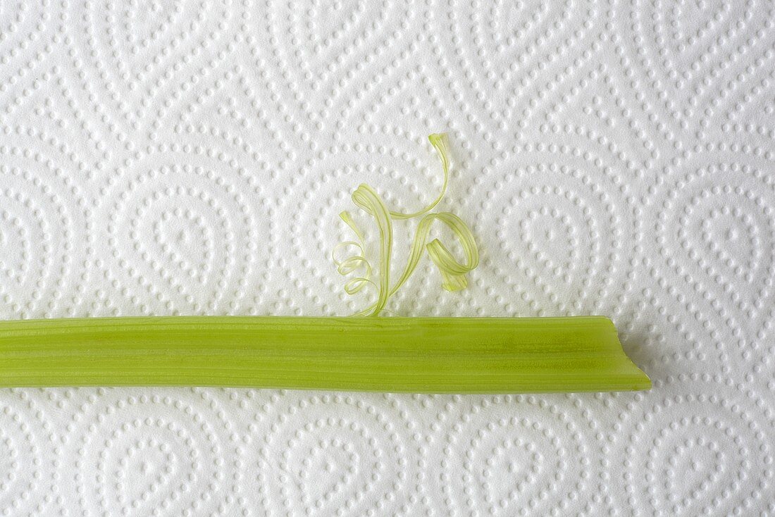 A stick of celery on kitchen paper