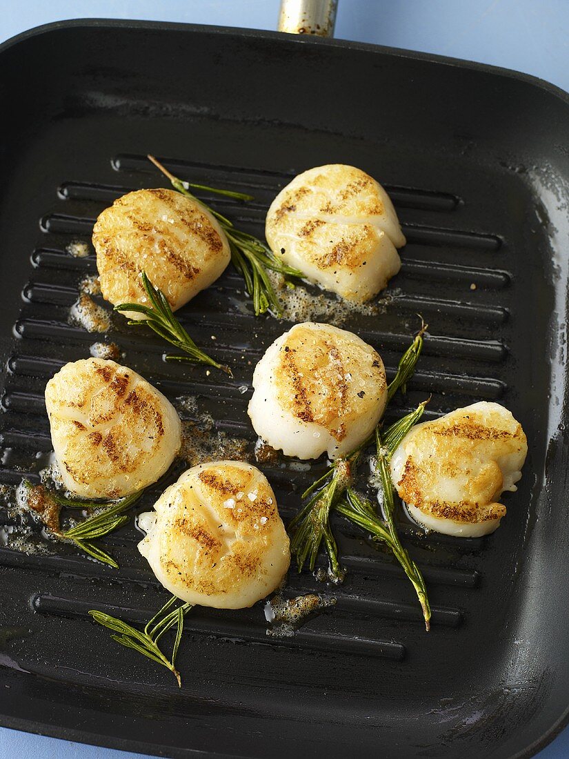Fried scallops with rosemary
