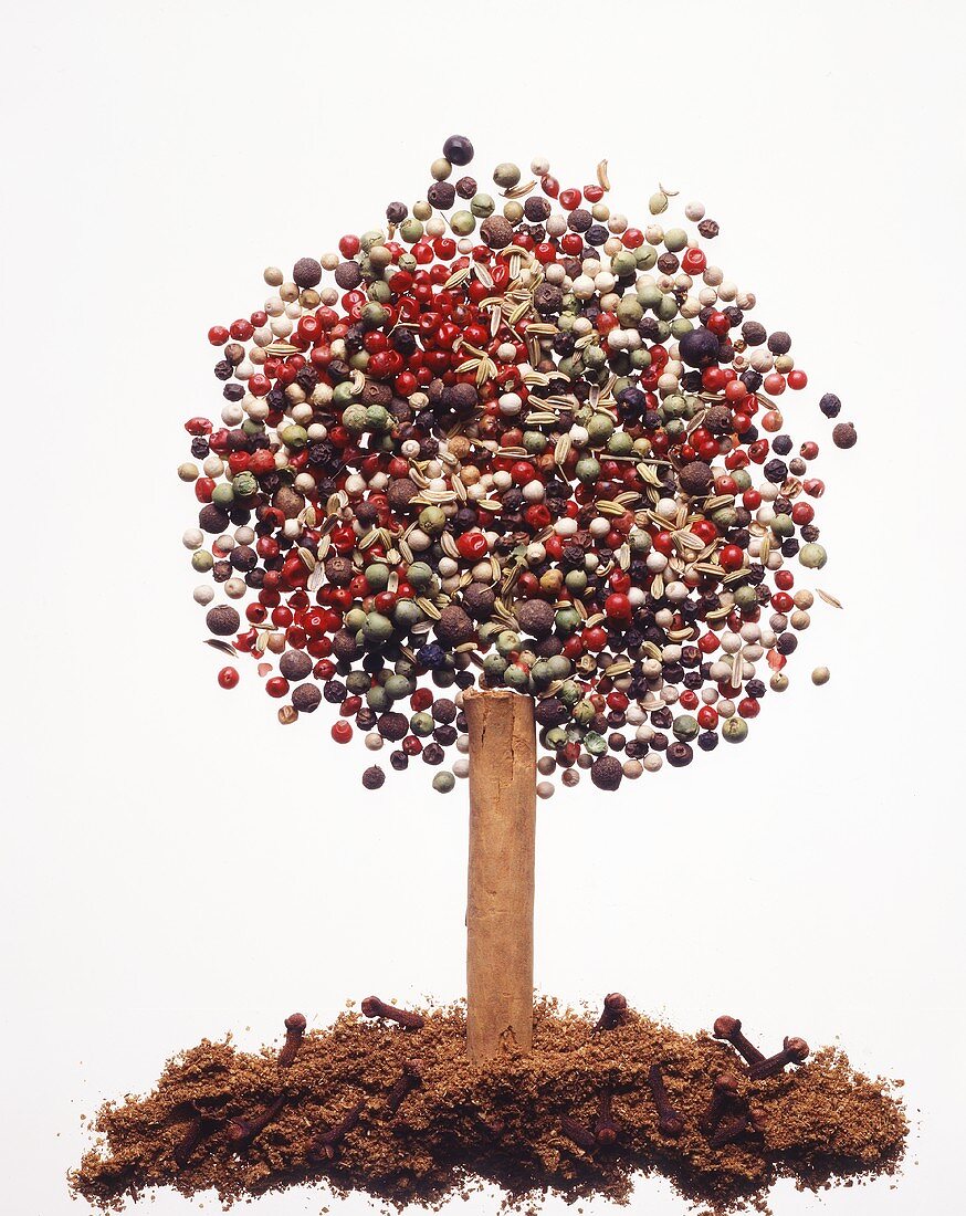 A tree shape made of various spices