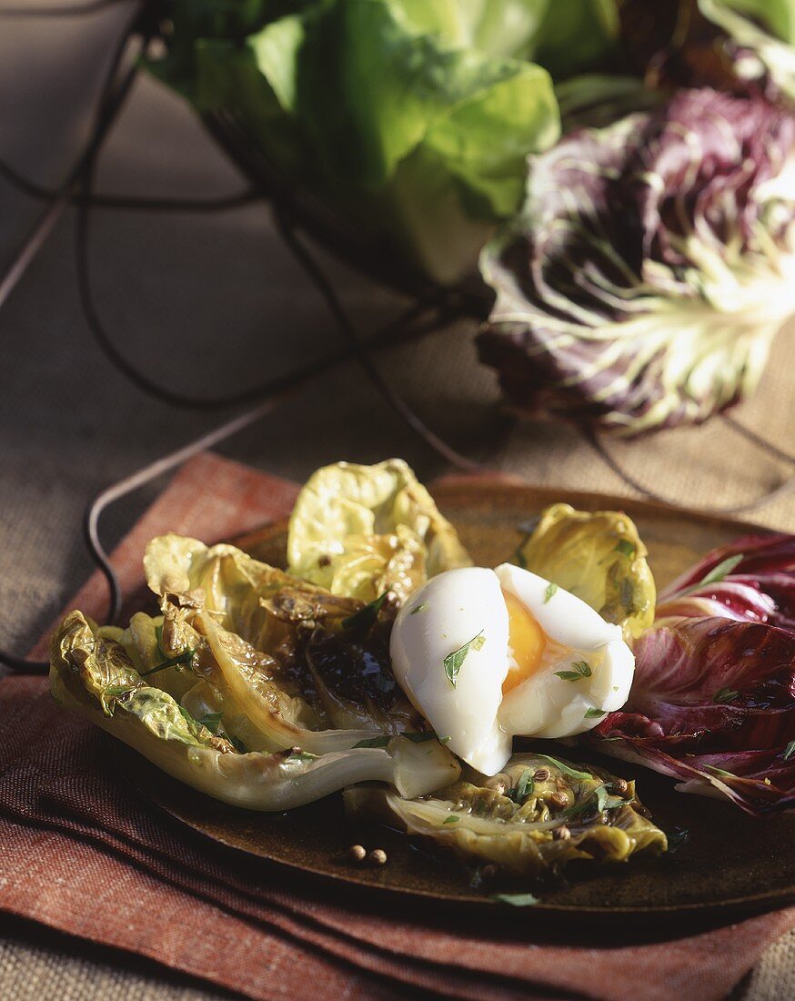 Poached egg on fried salad