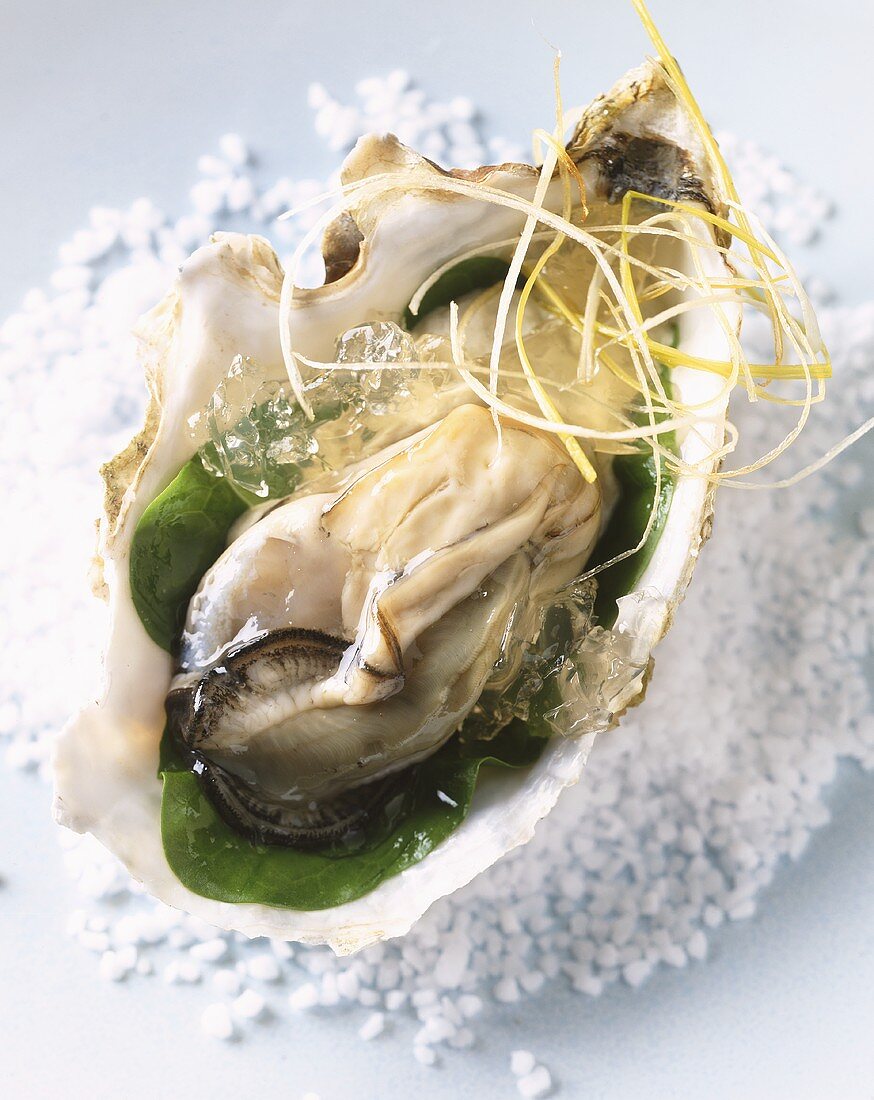 Oysters in jelly