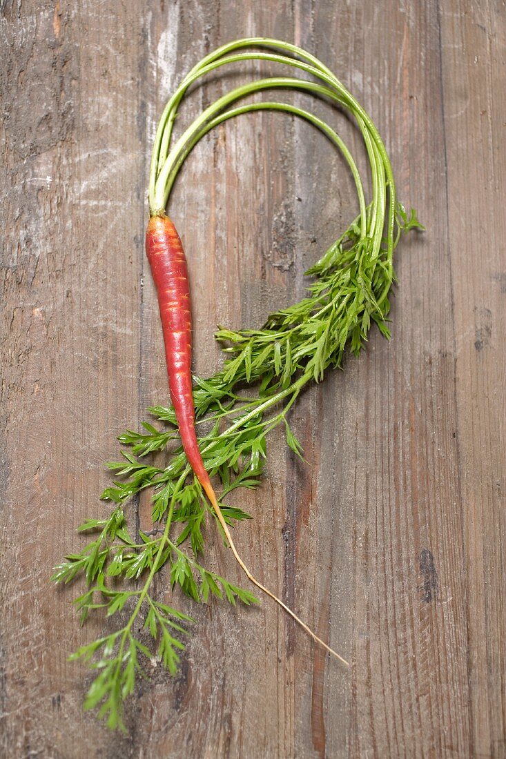 A carrot on a wooden surface