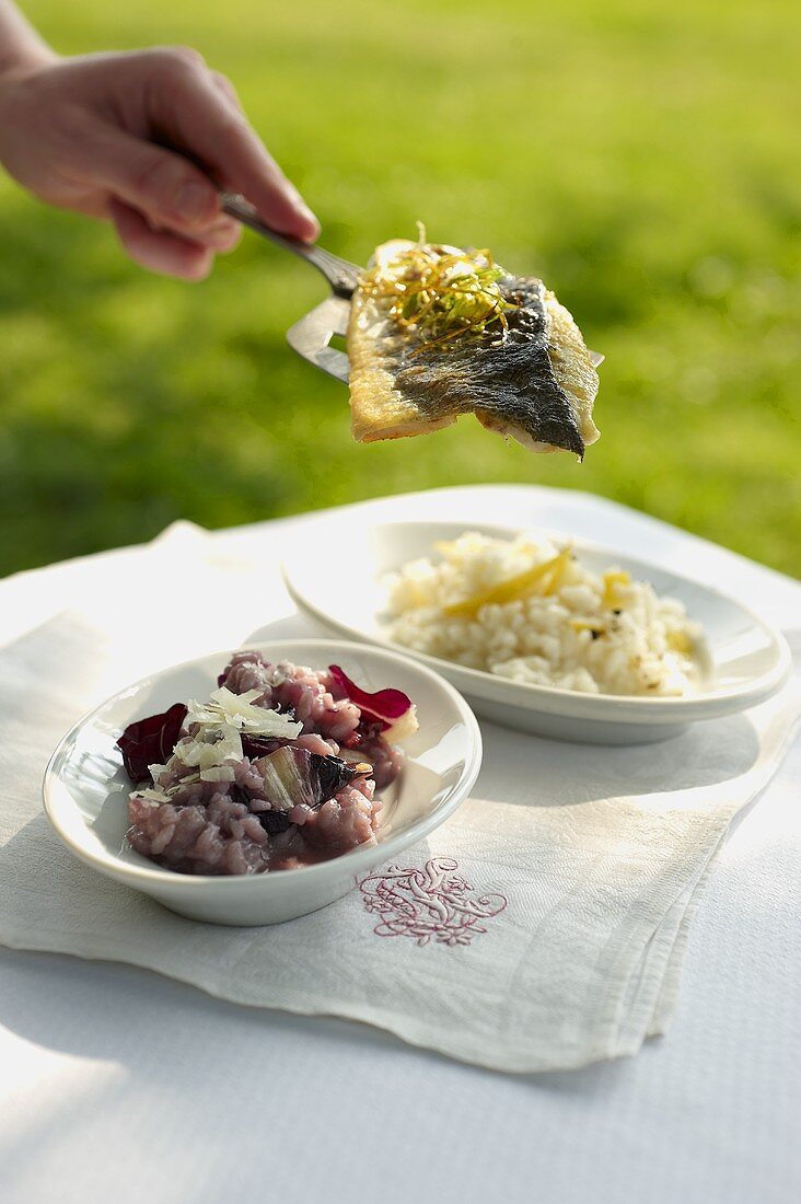 Red wine risotto and lemon risotto with perch fillet