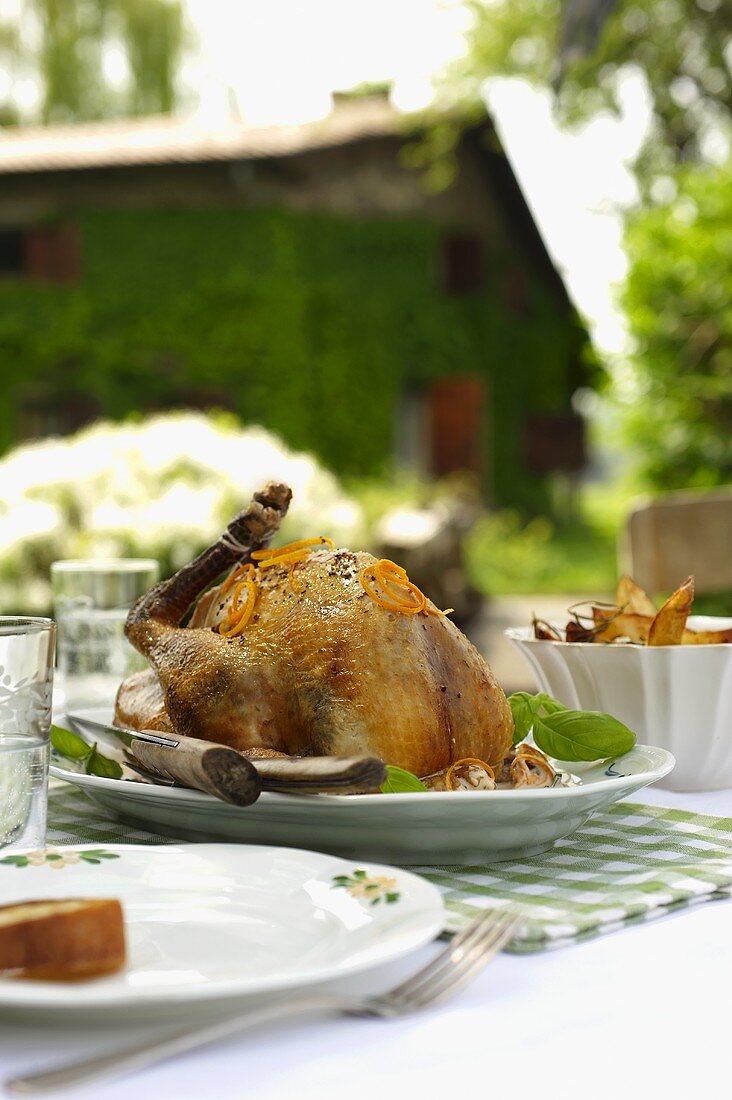 Faraona all'arancia (Perlhuhn mit Orangenzesten, Italien)