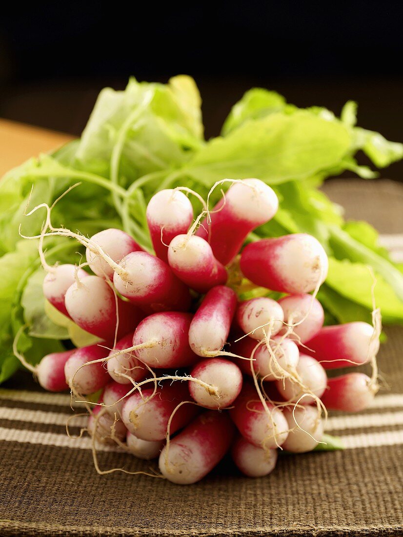 A bunch of radishes