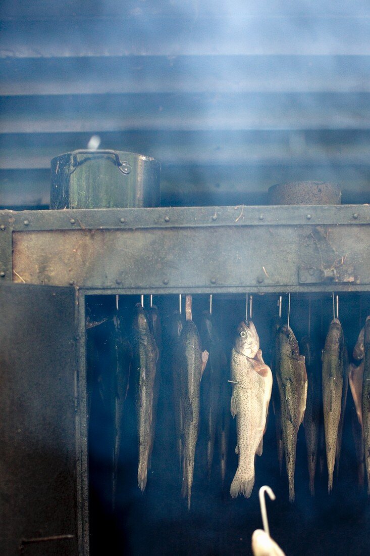 Fish in a smoke house
