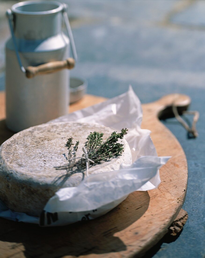 Cheese with herbs on a piece of paper
