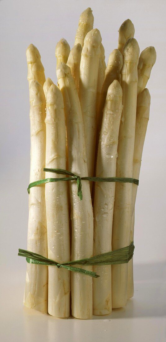 A Tied Bunch of White Asparagus