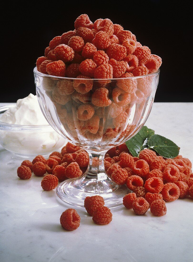 Bowl of Fresh Raspberries; Whipped Cream on the Side