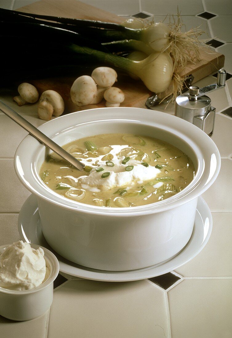 Kartoffel-Lauch-Suppe